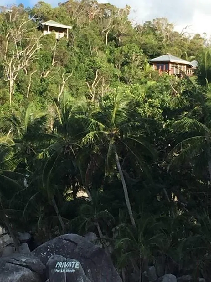 Bedarra Island Treetop Hideaway Villa Australia